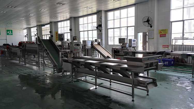 净菜加工系统